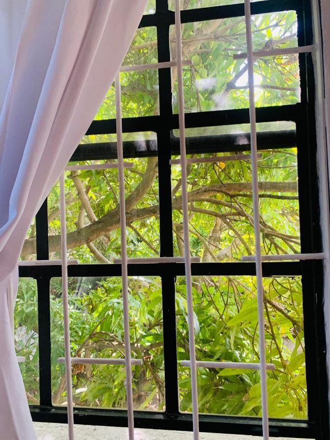 Ocean View Apartments ブリッジタウン エクステリア 写真